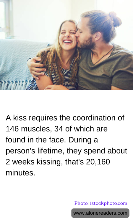 A kiss requires the coordination of 146 muscles, 34 of which are found in the face. During a person's lifetime, they spend about 2 weeks kissing, that's 20,160 minutes.