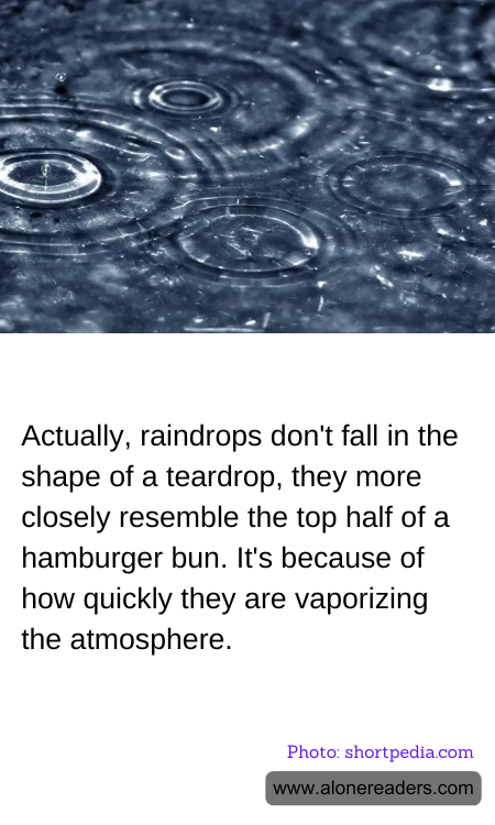 Actually, raindrops don't fall in the shape of a teardrop, they more closely resemble the top half of a hamburger bun. It's because of how quickly they are vaporizing the atmosphere.
