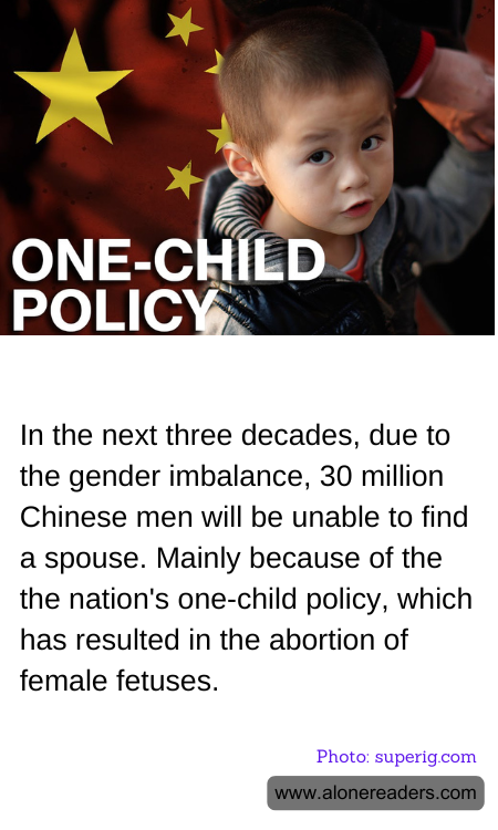 General Knowledge Learning Cards