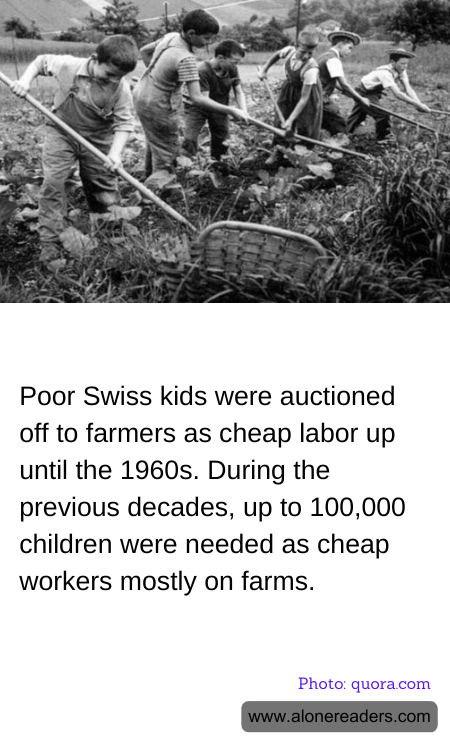 General Knowledge Learning Cards