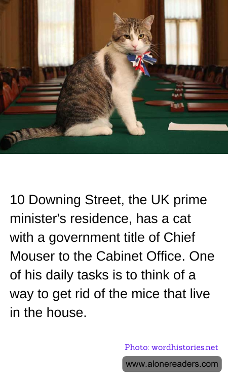 General Knowledge Learning Cards