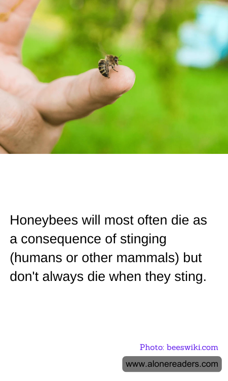 General Knowledge Learning Cards