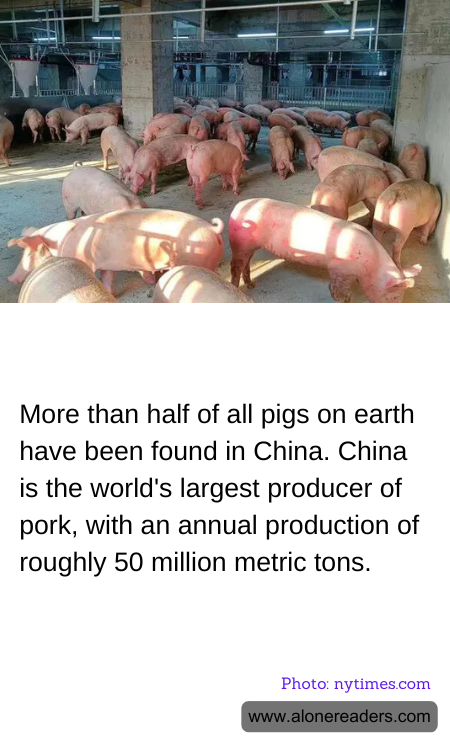 General Knowledge Learning Cards