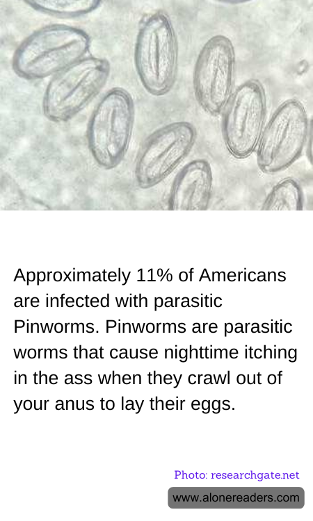General Knowledge Learning Cards