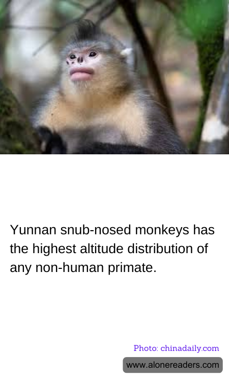 General Knowledge Learning Cards