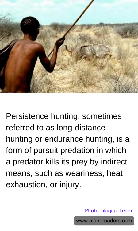 General Knowledge Learning Cards