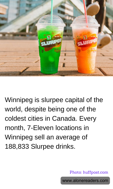 General Knowledge Learning Cards