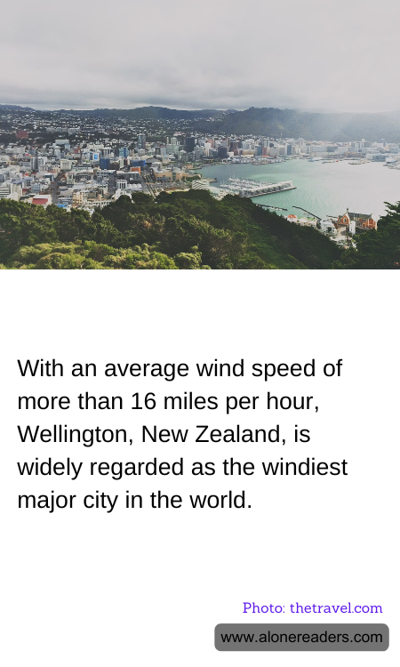 With an average wind speed of more than 16 miles per hour, Wellington, New Zealand, is widely regarded as the windiest major city in the world.
