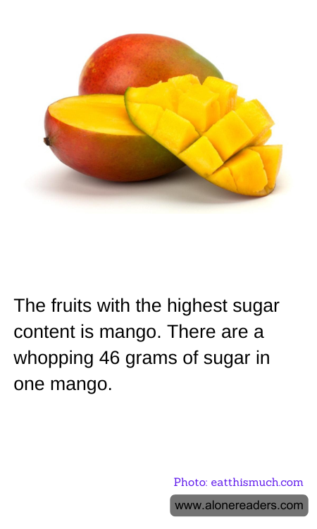 General Knowledge Learning Cards