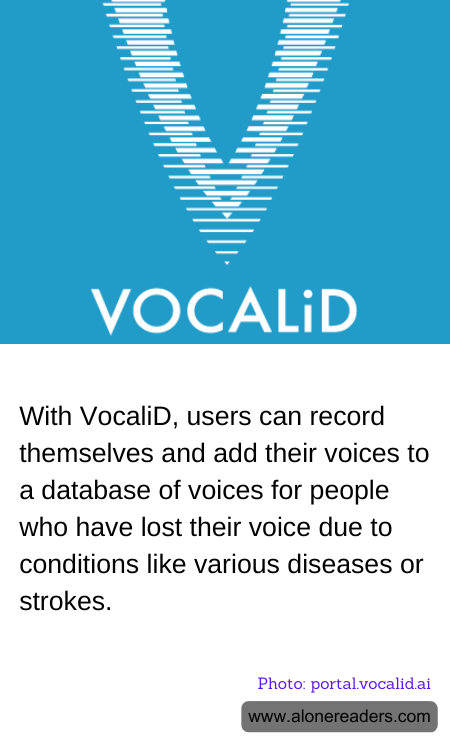 General Knowledge Learning Cards