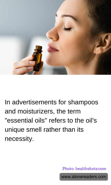 General Knowledge Learning Cards