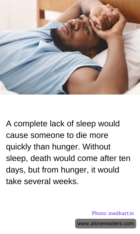 General Knowledge Learning Cards