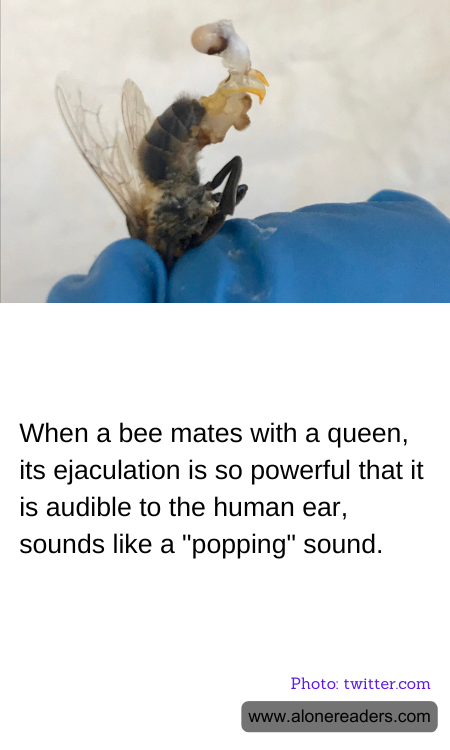 General Knowledge Learning Cards