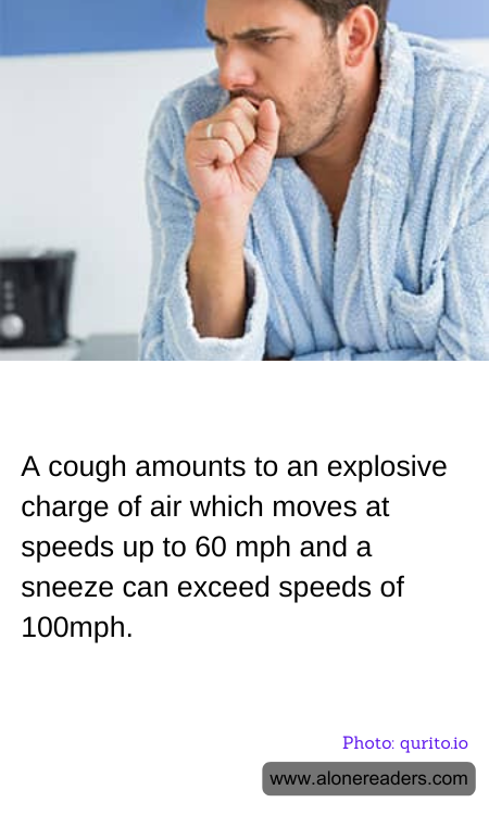 General Knowledge Learning Cards