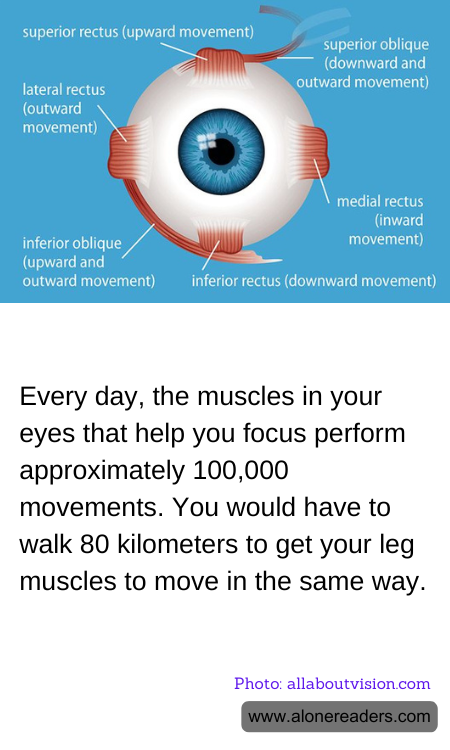 General Knowledge Learning Cards