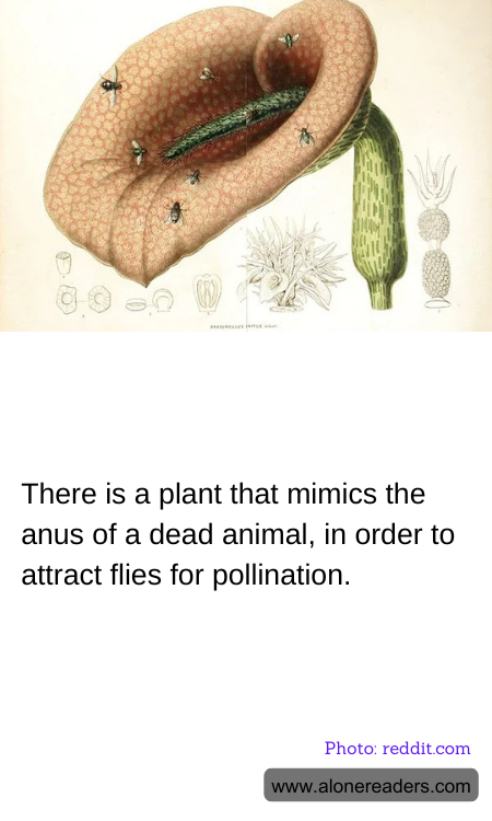 General Knowledge Learning Cards