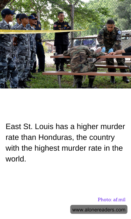 General Knowledge Learning Cards