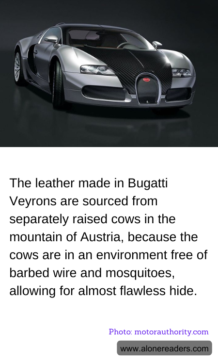 General Knowledge Learning Cards