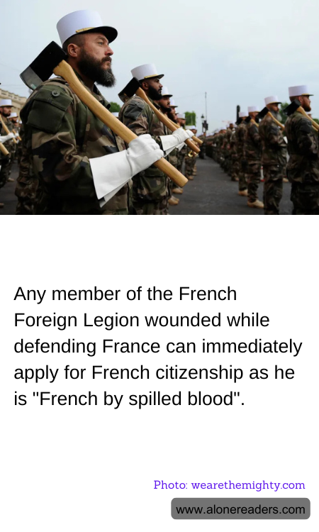 General Knowledge Learning Cards