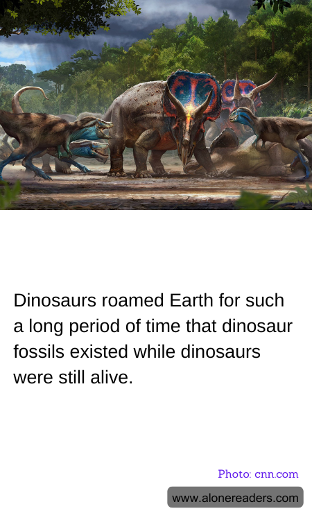 General Knowledge Learning Cards