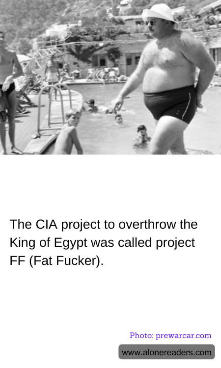 General Knowledge Learning Cards