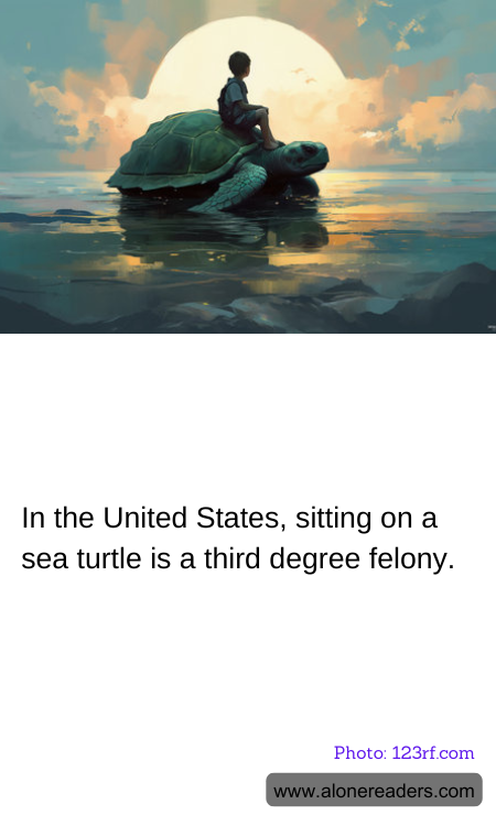 In the United States, sitting on a sea turtle is a third degree felony.