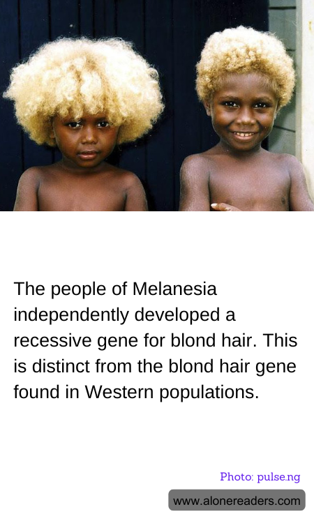 The people of Melanesia independently developed a recessive gene for blond hair. This is distinct from the blond hair gene found in Western populations.