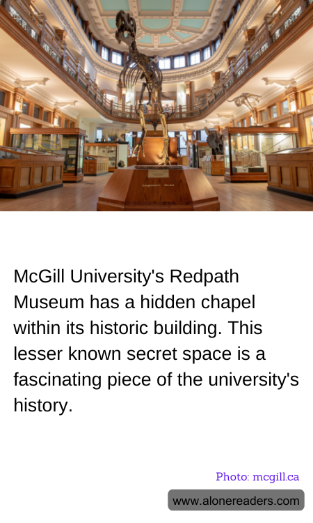 General Knowledge Learning Cards