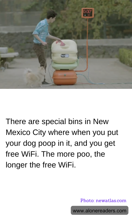 There are special bins in New Mexico City where when you put your dog poop in it, and you get free WiFi. The more poo, the longer the free WiFi.