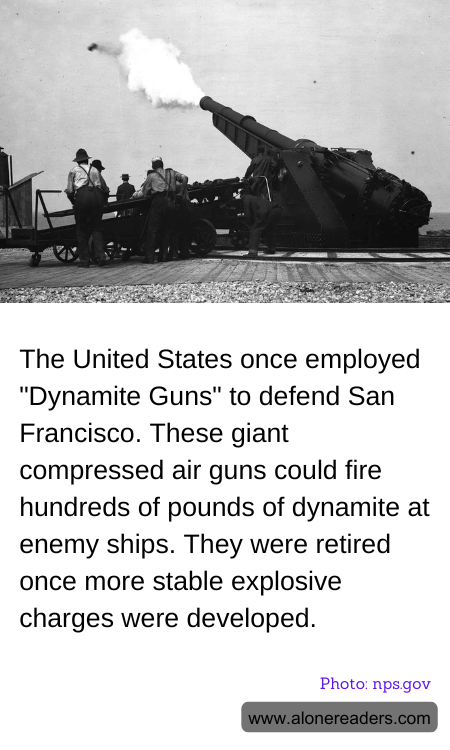 General Knowledge Learning Cards