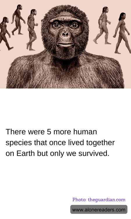 General Knowledge Learning Cards