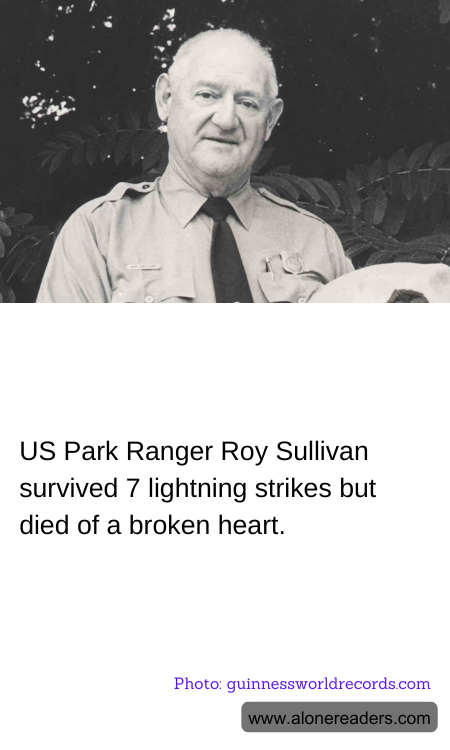 General Knowledge Learning Cards