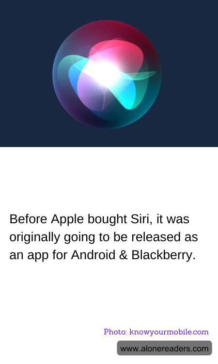 General Knowledge Learning Cards