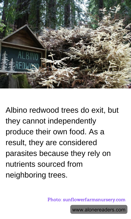 General Knowledge Learning Cards