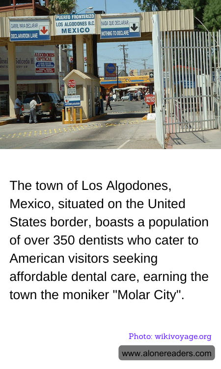 The town of Los Algodones, Mexico, situated on the United States border, boasts a population of over 350 dentists who cater to American visitors seeking affordable dental care, earning the town the moniker "Molar City".