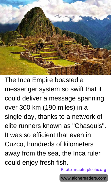The Inca Empire boasted a messenger system so swift that it could deliver a message spanning over 300 km (190 miles) in a single day, thanks to a network of elite runners known as "Chasquis". It was so efficient that even in Cuzco, hundreds of kilometers away from the sea, the Inca ruler could enjoy fresh fish.
