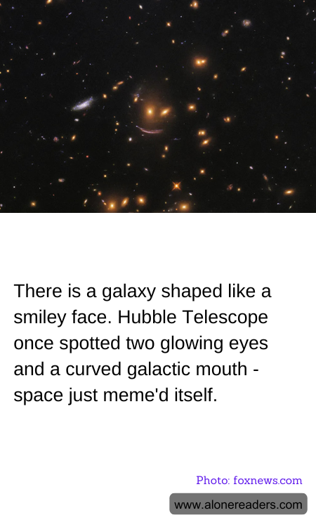 General Knowledge Learning Cards