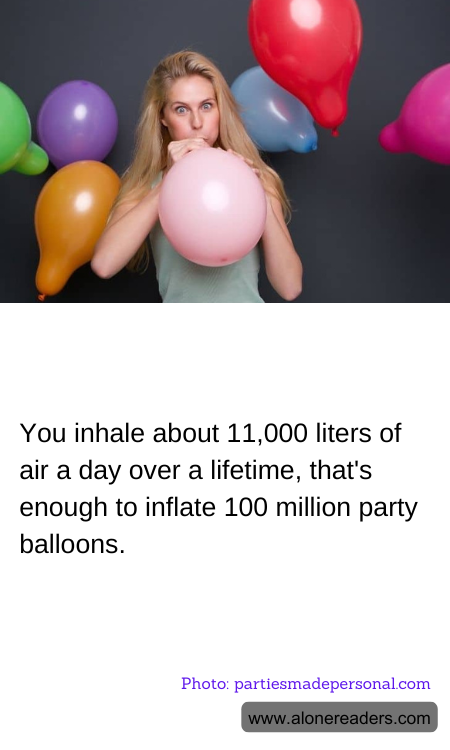 General Knowledge Learning Cards