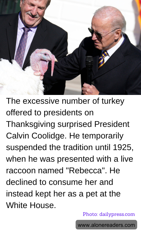 General Knowledge Learning Cards