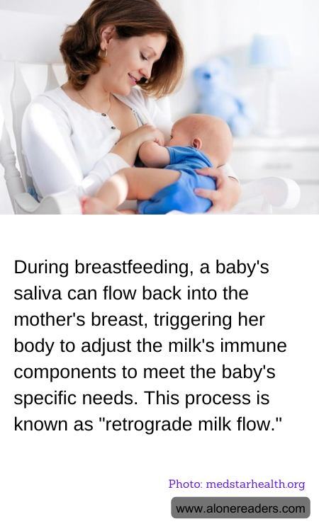 General Knowledge Learning Cards