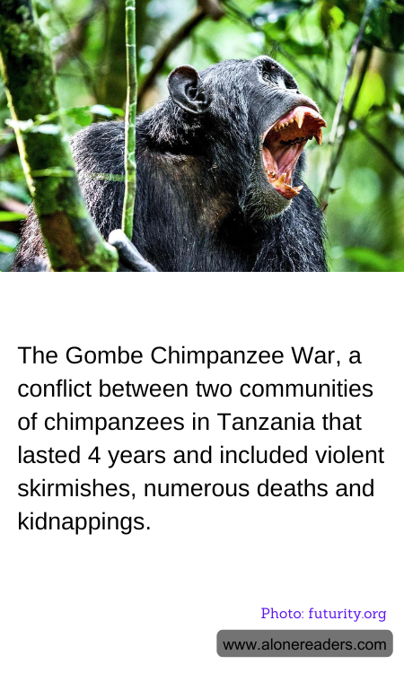 General Knowledge Learning Cards