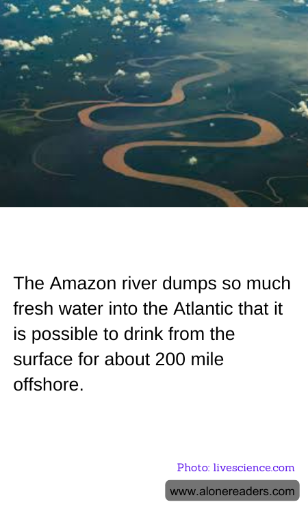 The Amazon river dumps so much fresh water into the Atlantic that it is possible to drink from the surface for about 200 mile offshore.