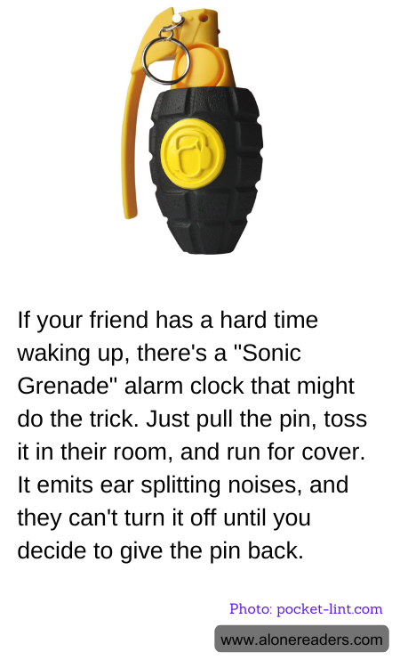 General Knowledge Learning Cards