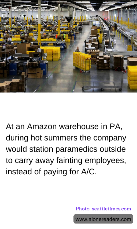 General Knowledge Learning Cards