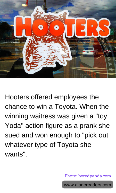 General Knowledge Learning Cards