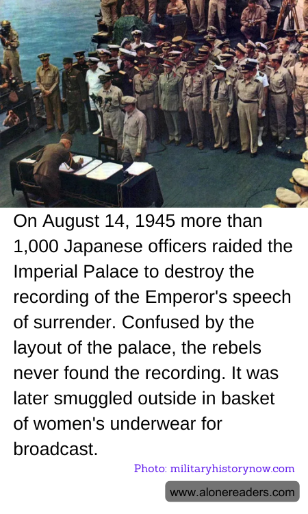 General Knowledge Learning Cards