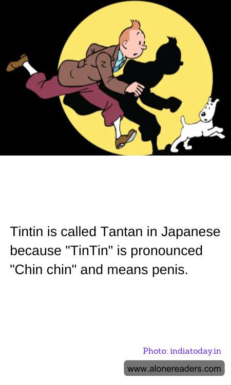 General Knowledge Learning Cards