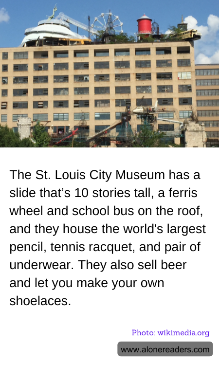 General Knowledge Learning Cards