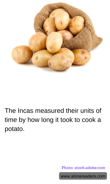 General Knowledge Learning Cards