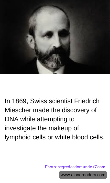 General Knowledge Learning Cards